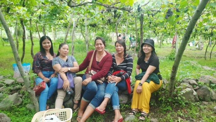 Wisata Edukasi Kebun Anggur Bunutan