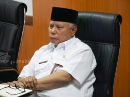 Bupati Lombok Timur: Perayaan HUT RI Tidak Beratkan Masyarakat