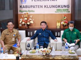 Bupati Suwirta Minta Perbekel Dampingi Enumerator dalam Proses Input Data UMKM