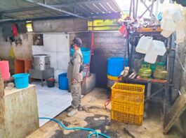 Tindak Lanjuti Laporan Masyarakat, Tim Kecamatan Denpasar Barat Sidak Pembuang Limbah Pemotongan Ayam