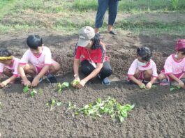 Pengenalan Lingkungan Sejak Usia Dini, Desa Dangin Puri Kangin Ajak Siswa TK Kunjungi Lokasi PKTD