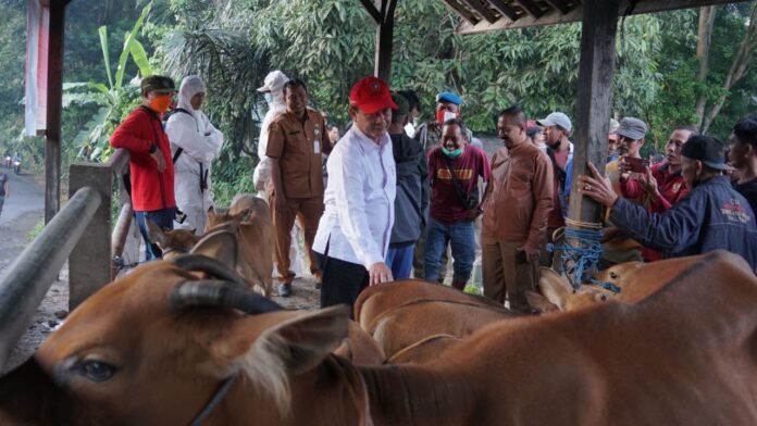 Pasca Kembali Dibukanya Pasar Hewan, Transaksi Perekonomian Kian Menggeliat