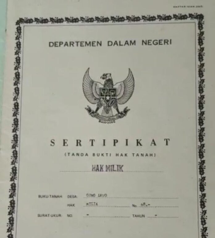 Mafia Tanah