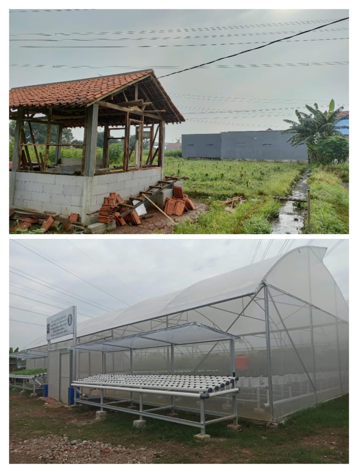 Pertanian Screen House