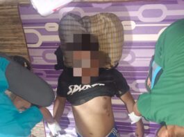 MS Dibawah Pohon Kelapa