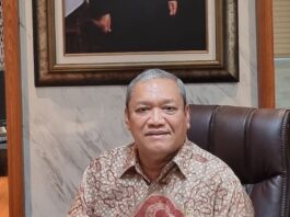 Pembangunan Dam Mujur