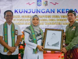 Desa Borok Toyang