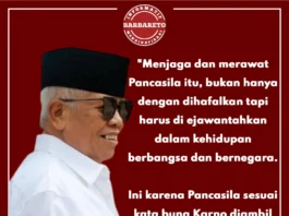 Anggota DPR RI