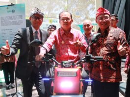 Direktur Utama PT PLN