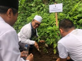 Penghijauan dan Penanaman Pohon