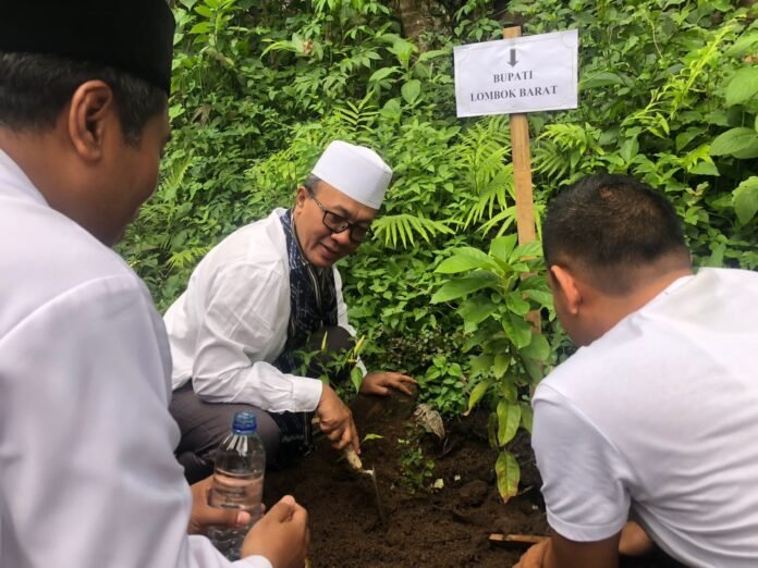 Penghijauan dan Penanaman Pohon