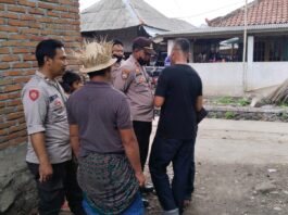 Sabung Ayam dan Bola Adil