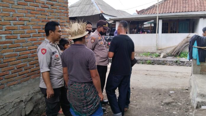 Sabung Ayam dan Bola Adil