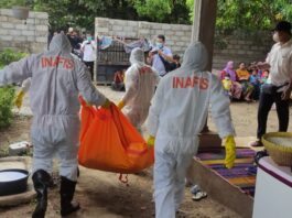 Tubuh Penuh Belatung