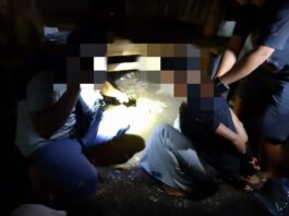 Narkoba di Pujut