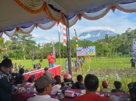 Pelepasan Burung Merpati