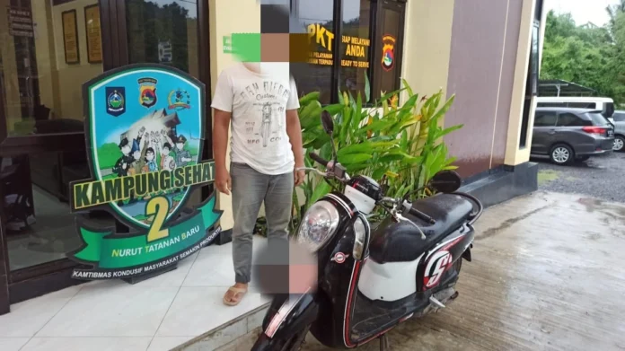 Honda Scoopy