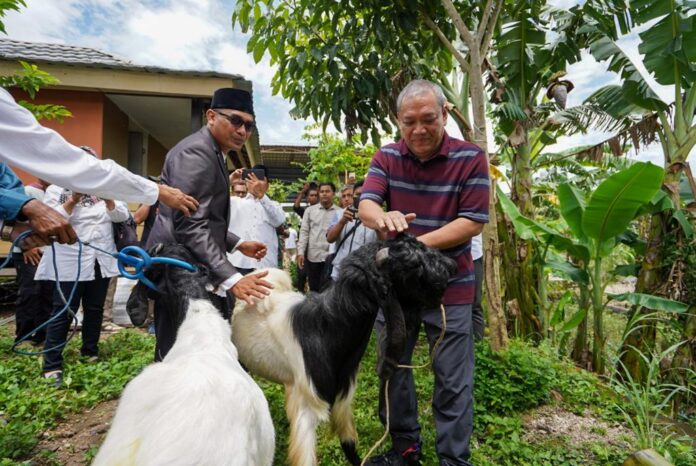 Peternak Kambing