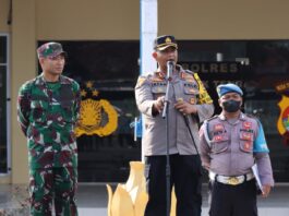 Malam Tahun Baru
