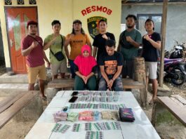 Pengedar Pil Tramadol