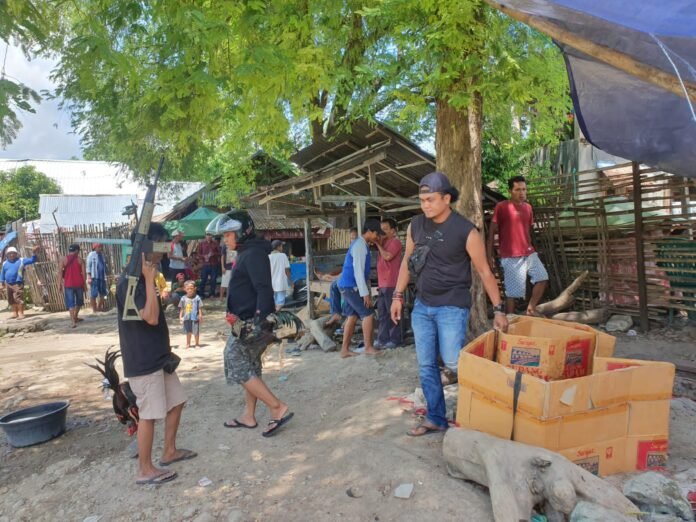 Berantas Penyakit Masyarakat, Tim Puma 1 Gerebek Judi Sabung Ayam di Manggemaci Kota Bima