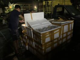 Penyelundupan Terumbu Karang di Bima