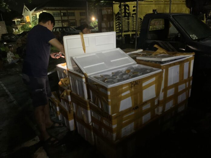 Penyelundupan Terumbu Karang di Bima