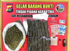 Tindak Pidana Narkotika di Mataram