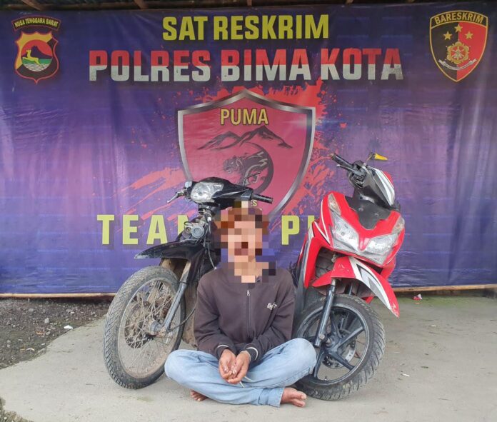 Sindikat Curanmor