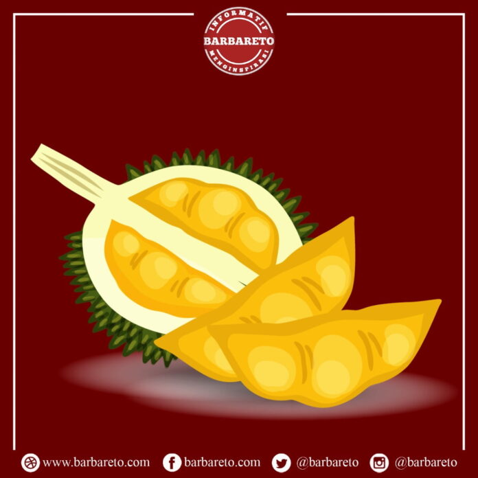 Musim Durian