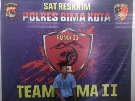 Gadis Belia