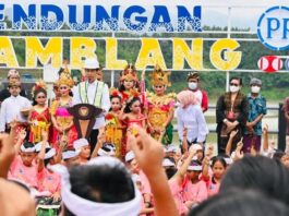 Bendungan Danu Kerthi