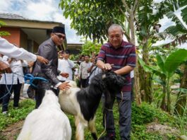 Food Estate Sektor Peternakan