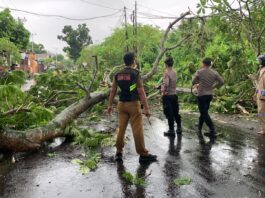 patroli sigap bencana