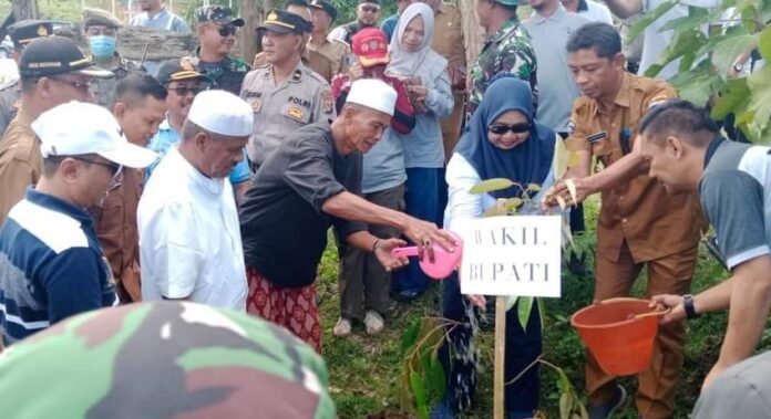 Tanam Ribuan Pohon untuk Penghijauan