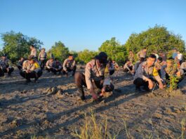 Kapolres Loteng Dampingi Dandim 1620/Loteng Tanam Pohon Mangrove di Pantai Gerupuk