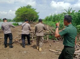 Kasubsektor BIZAM Lombok Dampingi Penertiban Kerbau di Areal Bandara