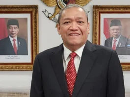 PMI adalah