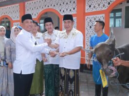 hewan qurban polda ntb