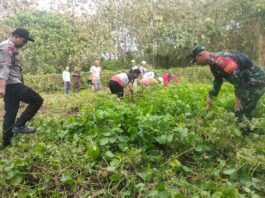 Gotong Royong di Pasar Rakyat