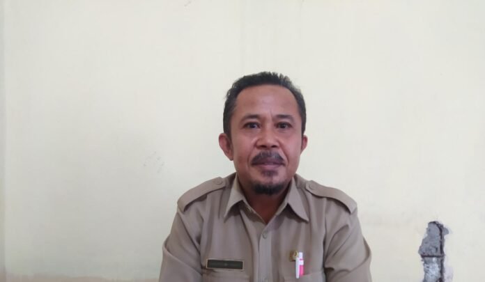PPDB