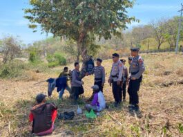 Kebakaran Hutan dan Lahan
