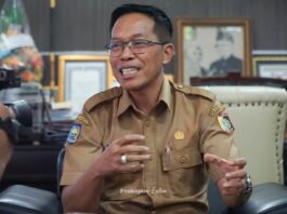 Penjabat Bupati