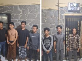 Mahasiswa