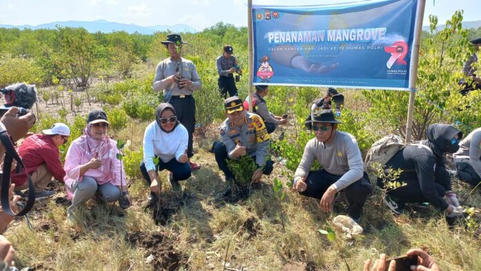 Penanaman Bibit Mangrove di Pantai