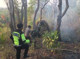 Kebakaran Hutan dan Lahan