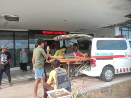 Laka Lantas di Bayan, Pengendara Tewas Setelah Tabrak Pohon