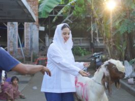 Masyarakat Pulau Lombok