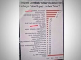 Lembaga Survei Pilkada