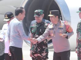 presiden joko widodo di lombok